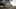 Fiat Argo Trekking 2020 (BR)