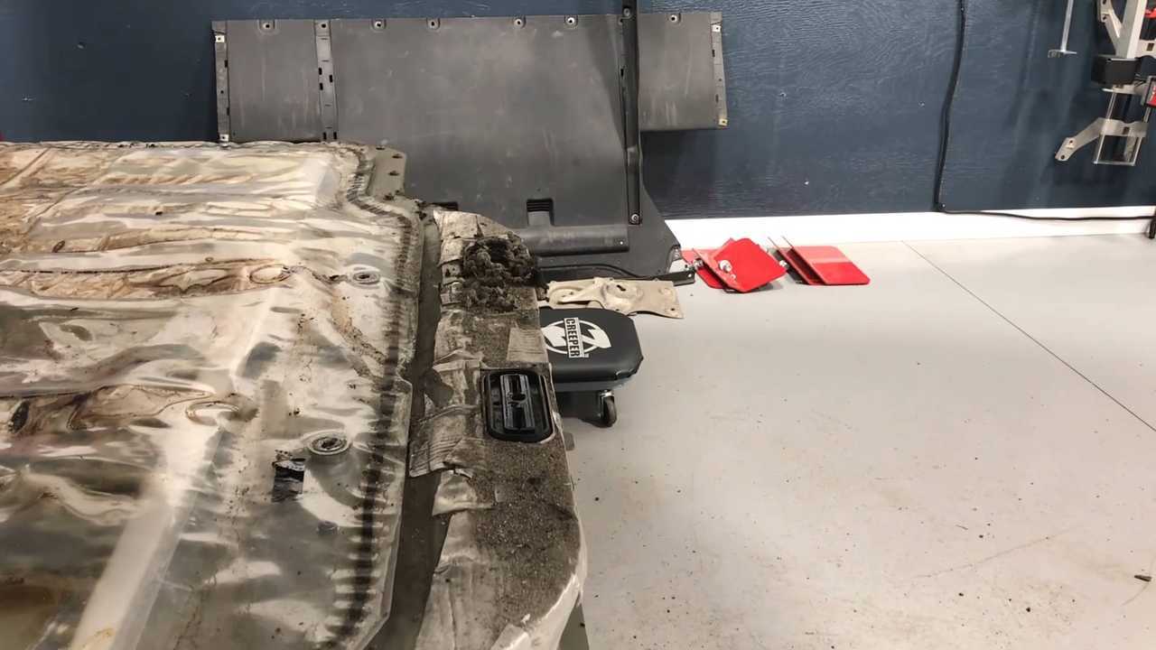 Harness-Eating Rats Make Model S Stop On The Road