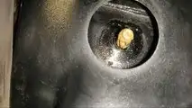 Impressed By The Finnish Tesla Model 3 Paint Problems? Hold My Beer