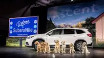 2019 Subaru Ascent