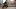 New 2019 Triumph Speed Twin 1200