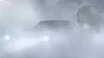 Can you put an elephant under your hood?