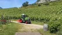 Fendt e100 Vario: Giuli atTonello prova il trattore elettrico da vigneto