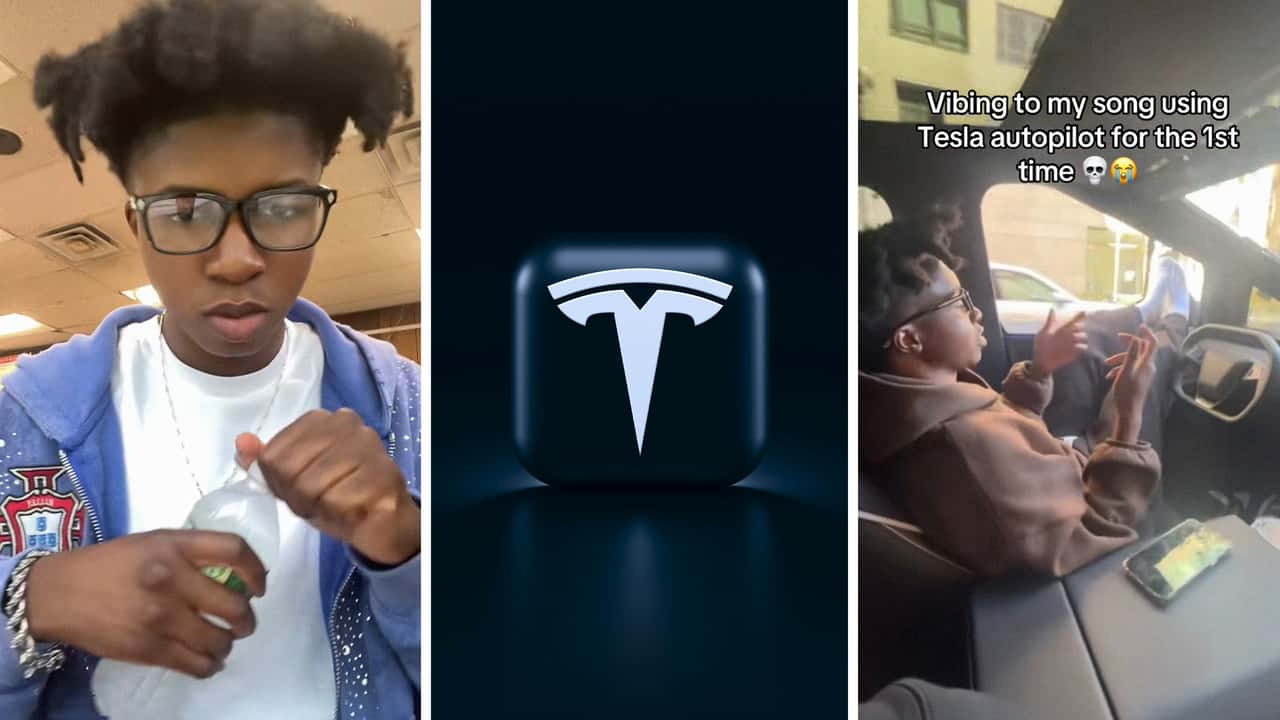 tesla autopilot nap