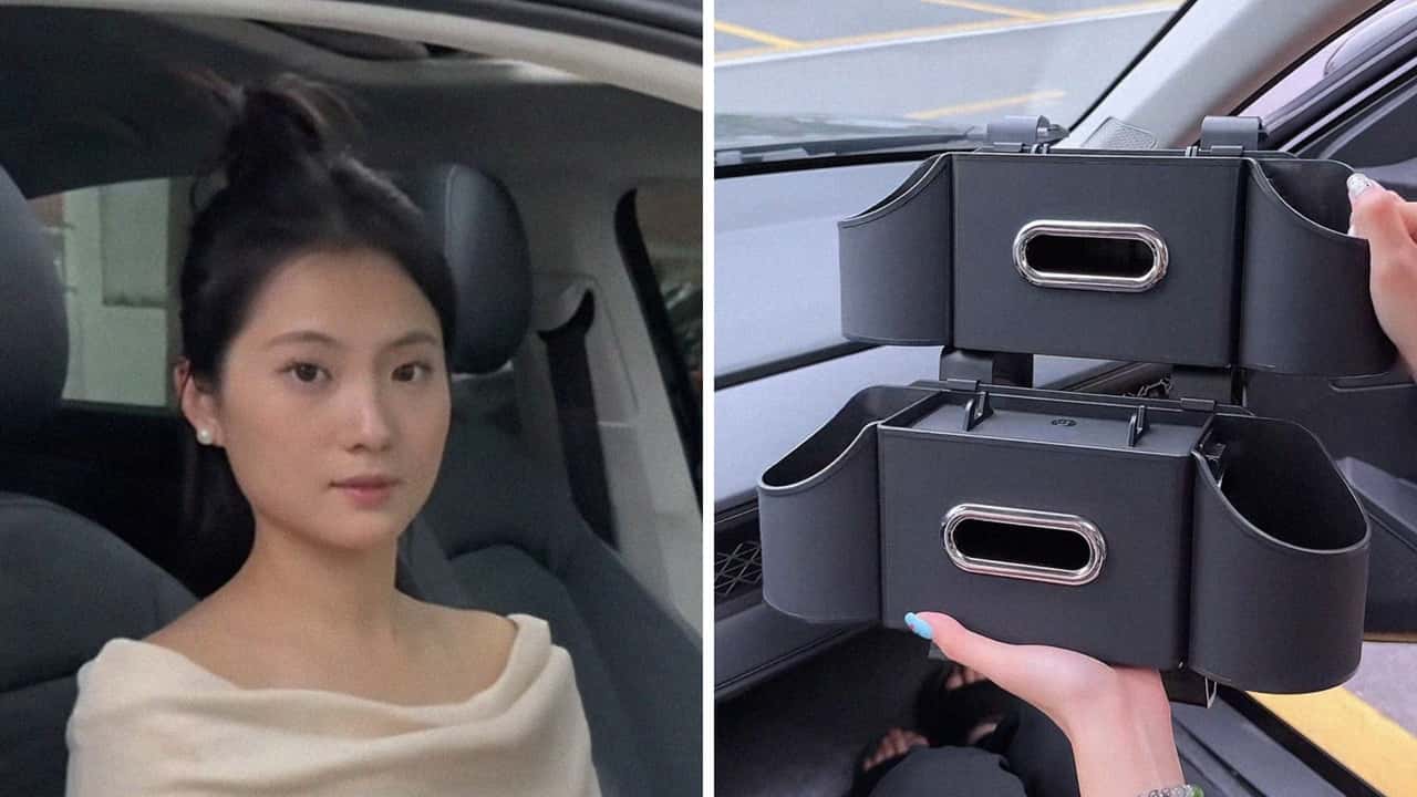 This Backseat Organizer the Answer to Your Travel Woes