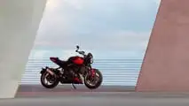 Triumph Trident 800 de 2026