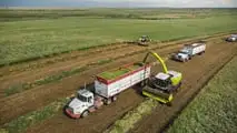 Jaguar 1200 Feldhäcksler von Claas erzielt neuen Weltrekord
