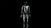 Tesla Bot