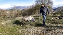 Rudolph, la Renna di Babbo Natale