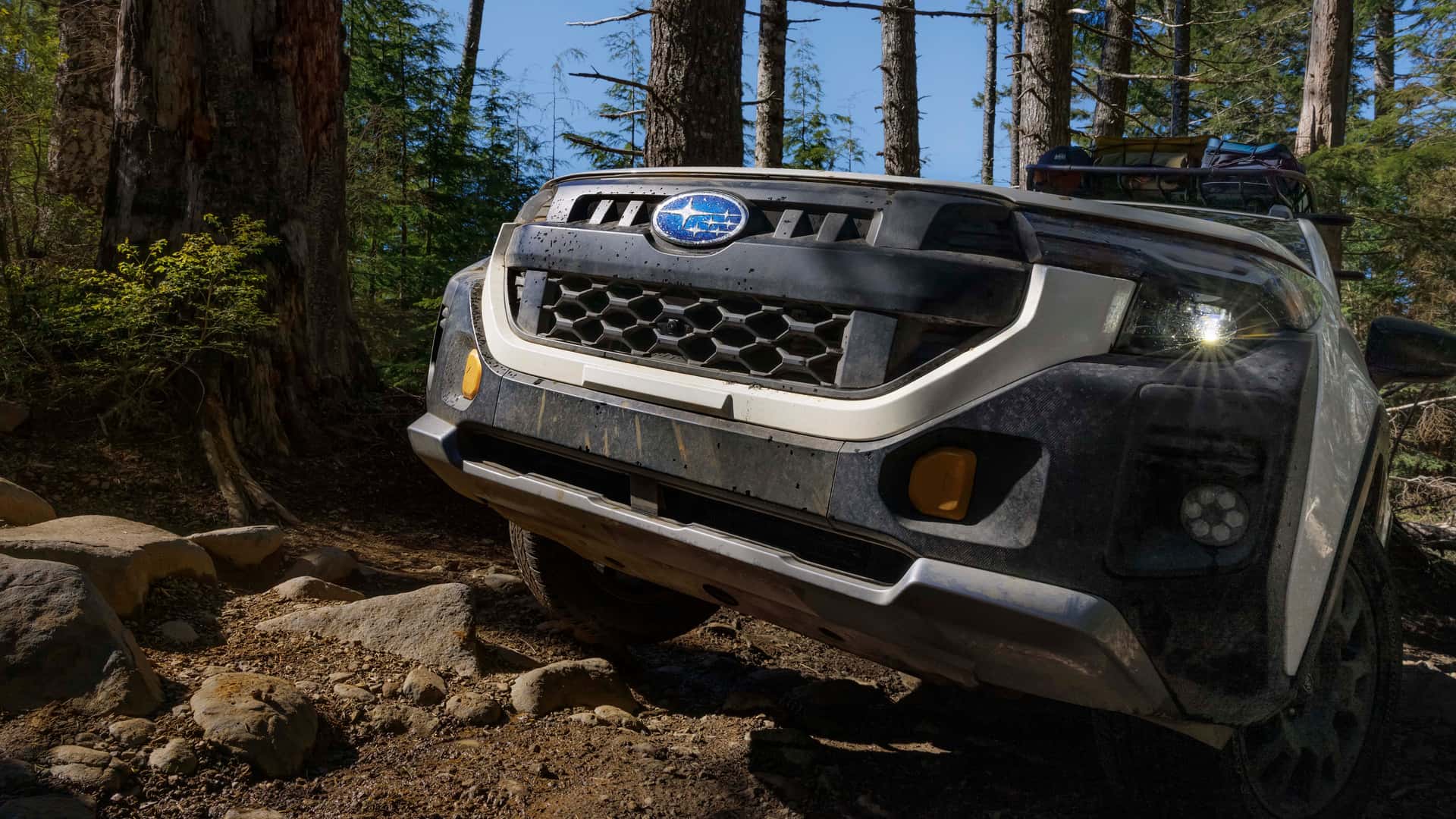 https://cdn.motor1.com/images/mgl/1ZEx1w/s1/2025-subaru-forester-wilderness.jpg