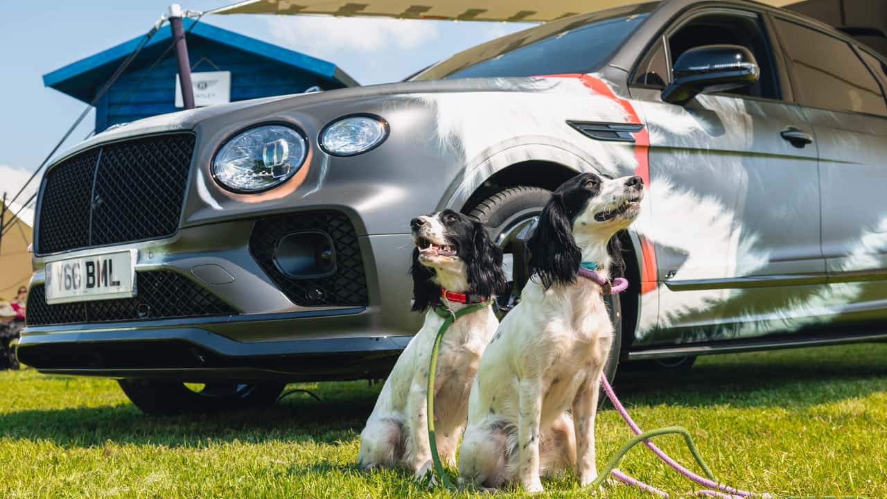 Bentley at 2024 Goodwoof