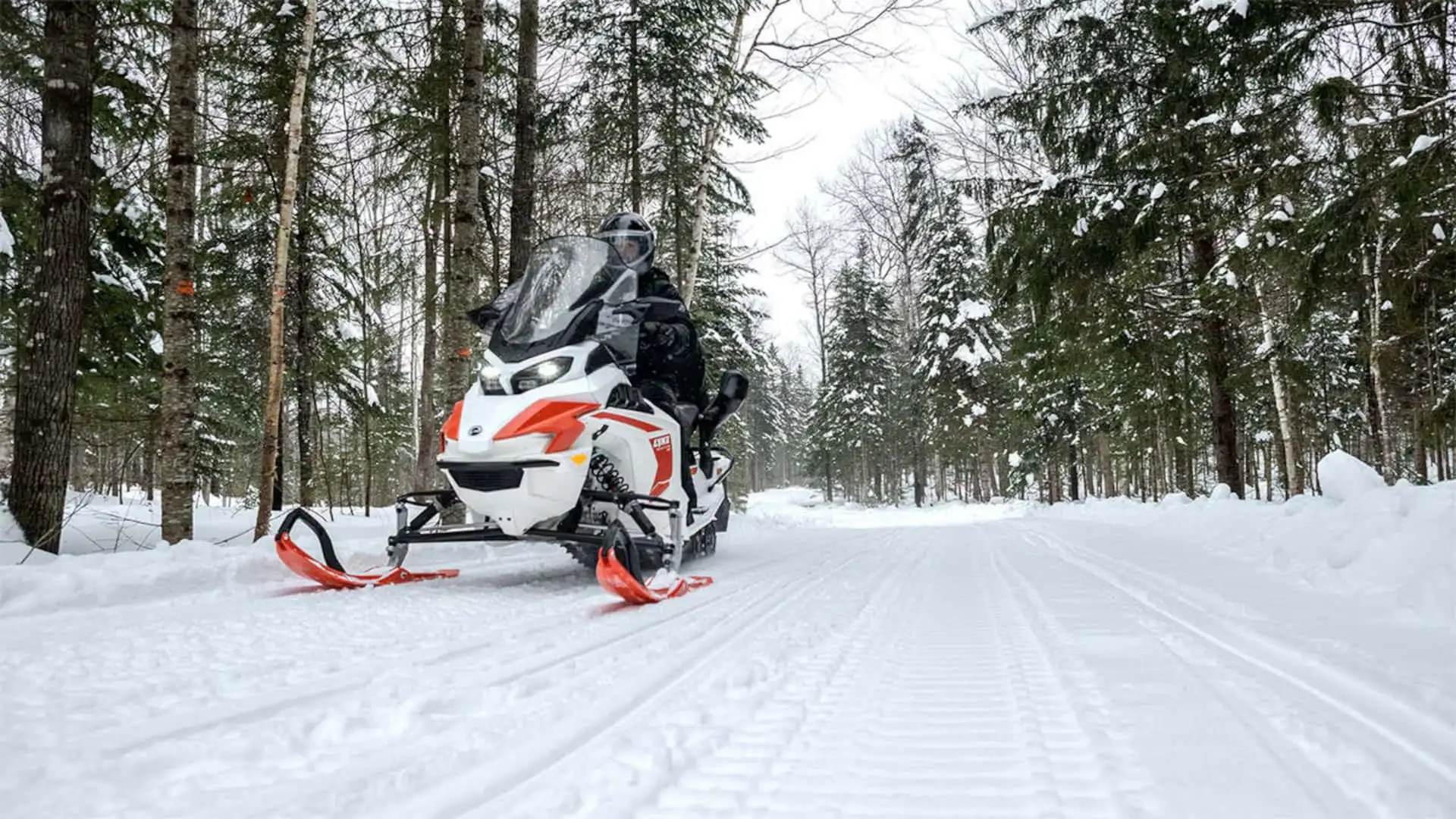 Snow Engine Sues McLaren이 1,500 만 달러를 잃어버린 후