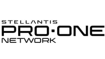 Pro One Network Logo 2026