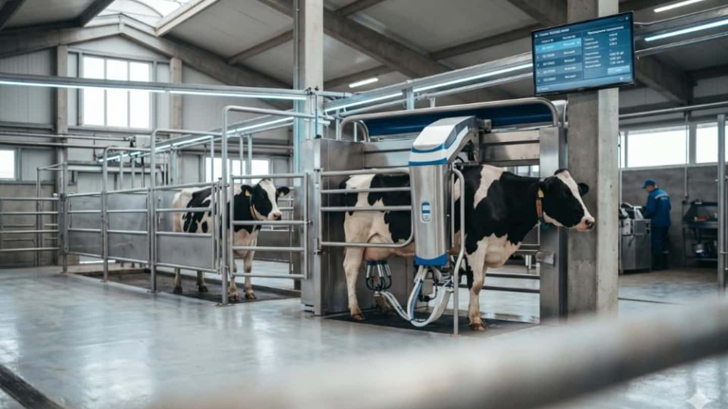 Prezzi del latte in calo e strategie delle grandi molkere