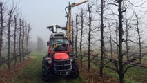 Attrezzature da vigneto e frutteto TOP per il 2024