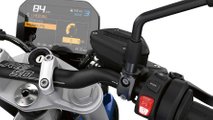 BMW R 1250 R Roadster (2022)