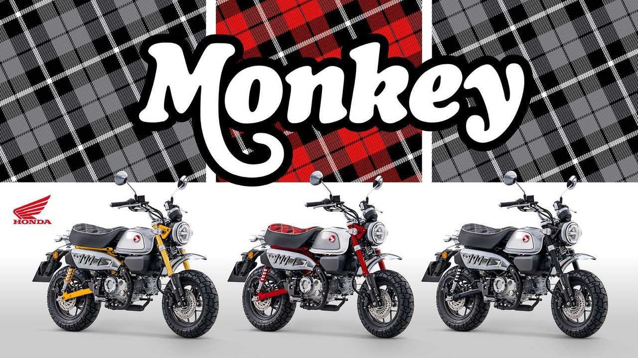 Honda Monkey - Trio 2023 - Estandarte a cuadros 2