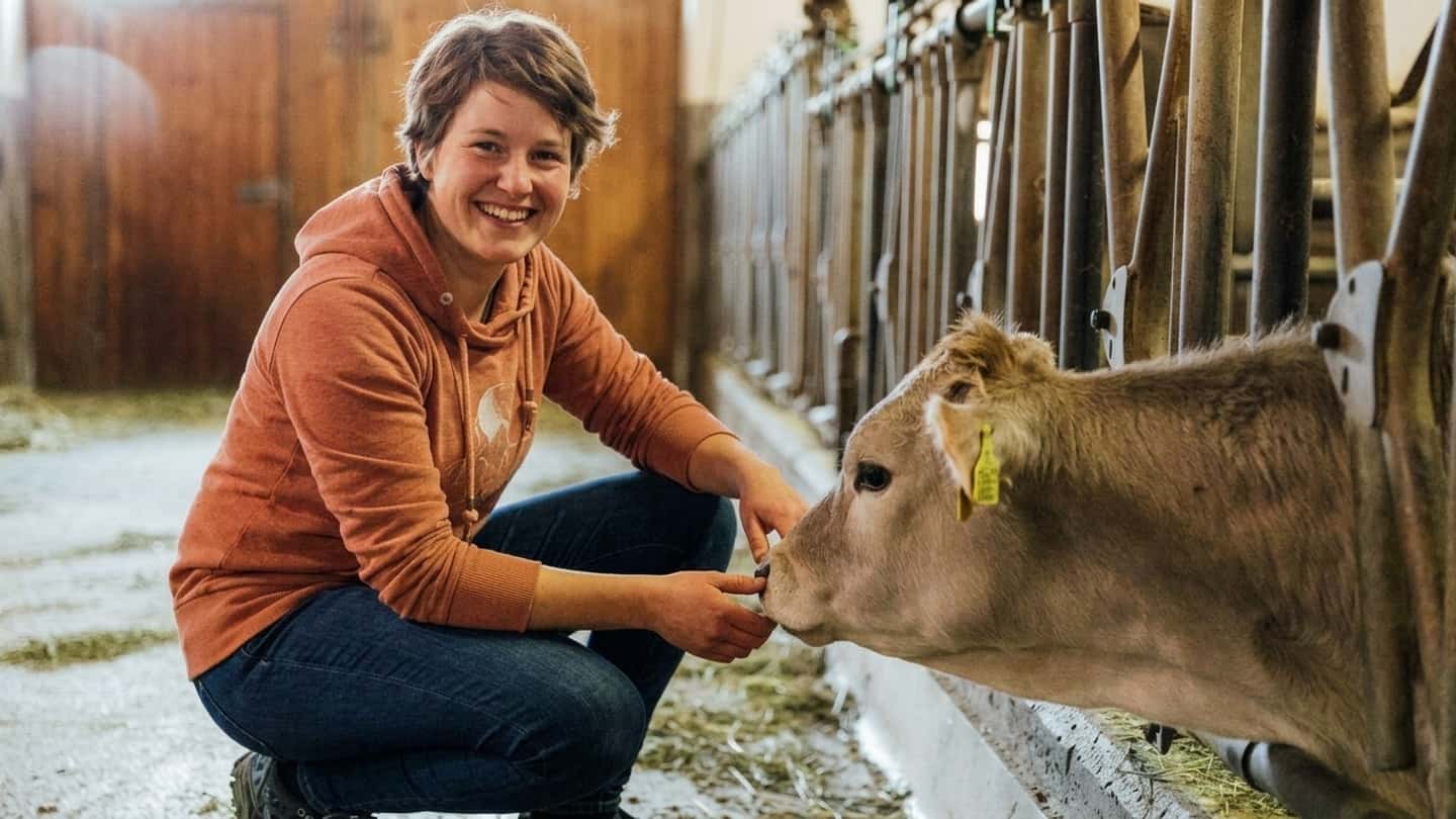 Latte in Alto Adige, calo aziende e giovani in stalla