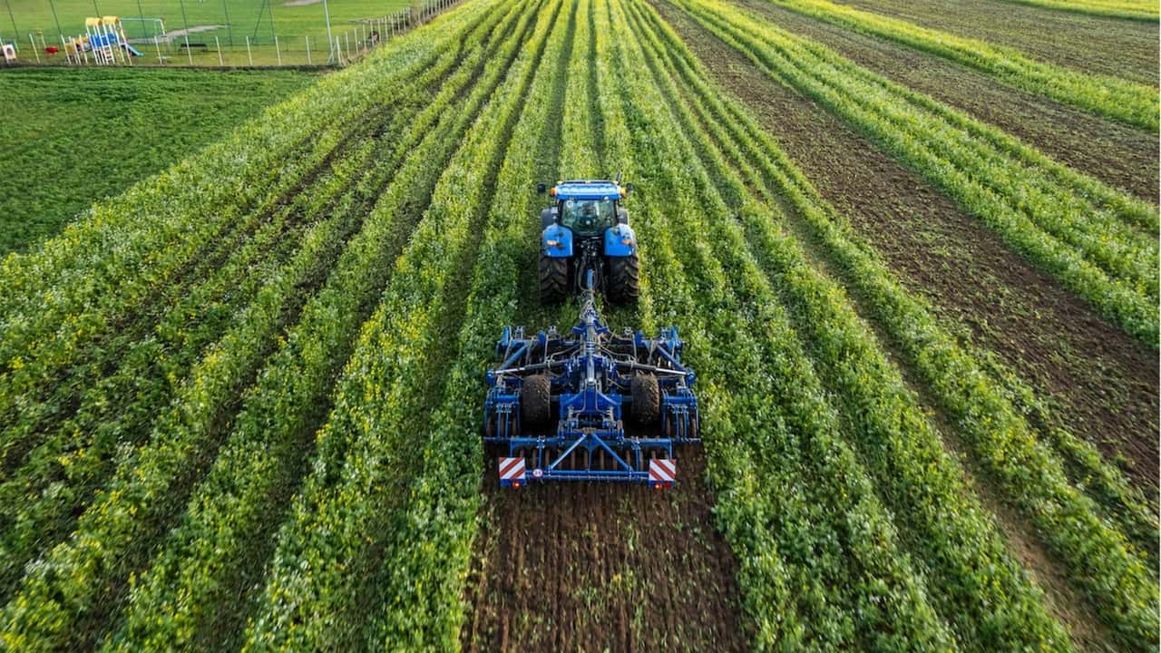 Come progettare rotazioni e cover crop nematocide per le orticole?