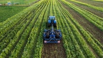 Come progettare rotazioni e cover crop nematocide per le orticole?