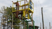 La raccolta è il vero collo di bottiglia della luppolicoltura italiana: dal training dei tralci alla scelta tra raccolta manuale, agevolata o meccanizzata.