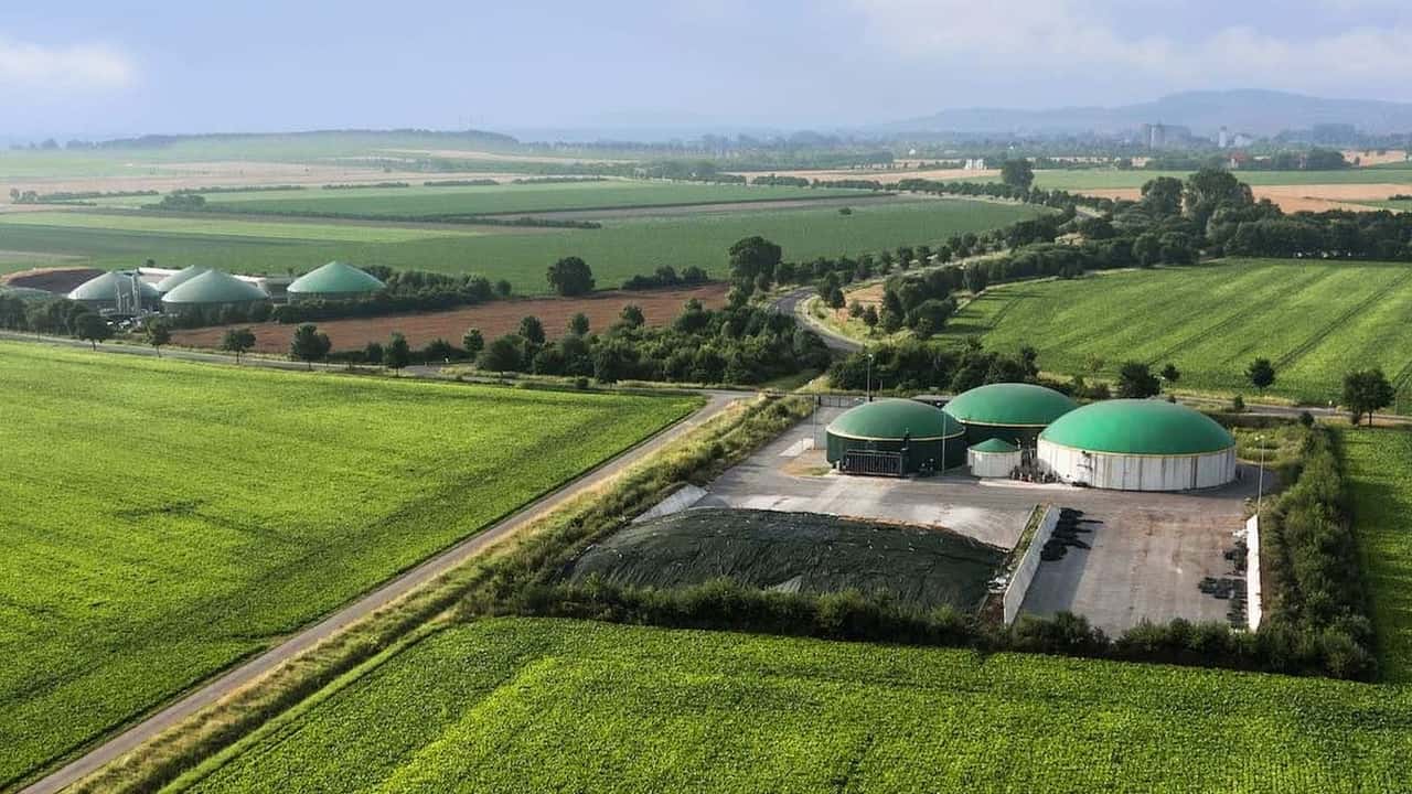 Integrazione del favino con biogas e reflui per ridurre la soia acquistata e valutare rotazioni, fertilità del suolo e convenienza degli investimenti in azienda mista
