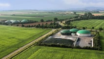 Integrazione del favino con biogas e reflui per ridurre la soia acquistata e valutare rotazioni, fertilità del suolo e convenienza degli investimenti in azienda mista