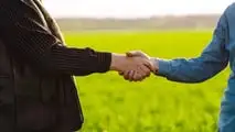 SRL agricola: vantaggi fiscali e rischi da conoscere prima