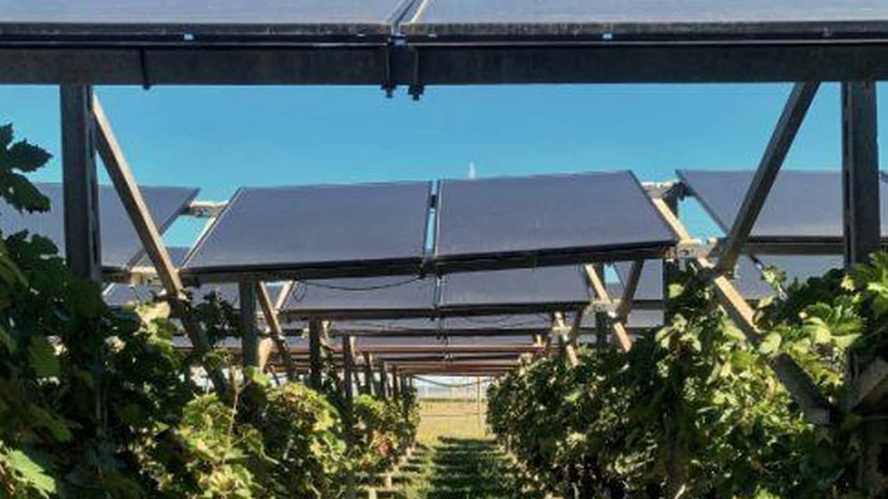 Legge orientamento 2001: agriturismo, energia e vendite dirette. Attività connesse da 6,3 a 15 miliardi, 380mila aziende multifunzionali in Italia