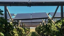 Legge orientamento 2001: agriturismo, energia e vendite dirette. Attività connesse da 6,3 a 15 miliardi, 380mila aziende multifunzionali in Italia