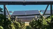 Legge orientamento 2001: agriturismo, energia e vendite dirette. Attività connesse da 6,3 a 15 miliardi, 380mila aziende multifunzionali in Italia