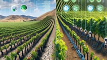 rrigazione digitale: risparmia 20% gasolio e acqua in campo