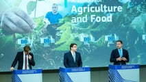 Fertilizzanti: la UE corre ai ripari, ma i campi già soffrono
