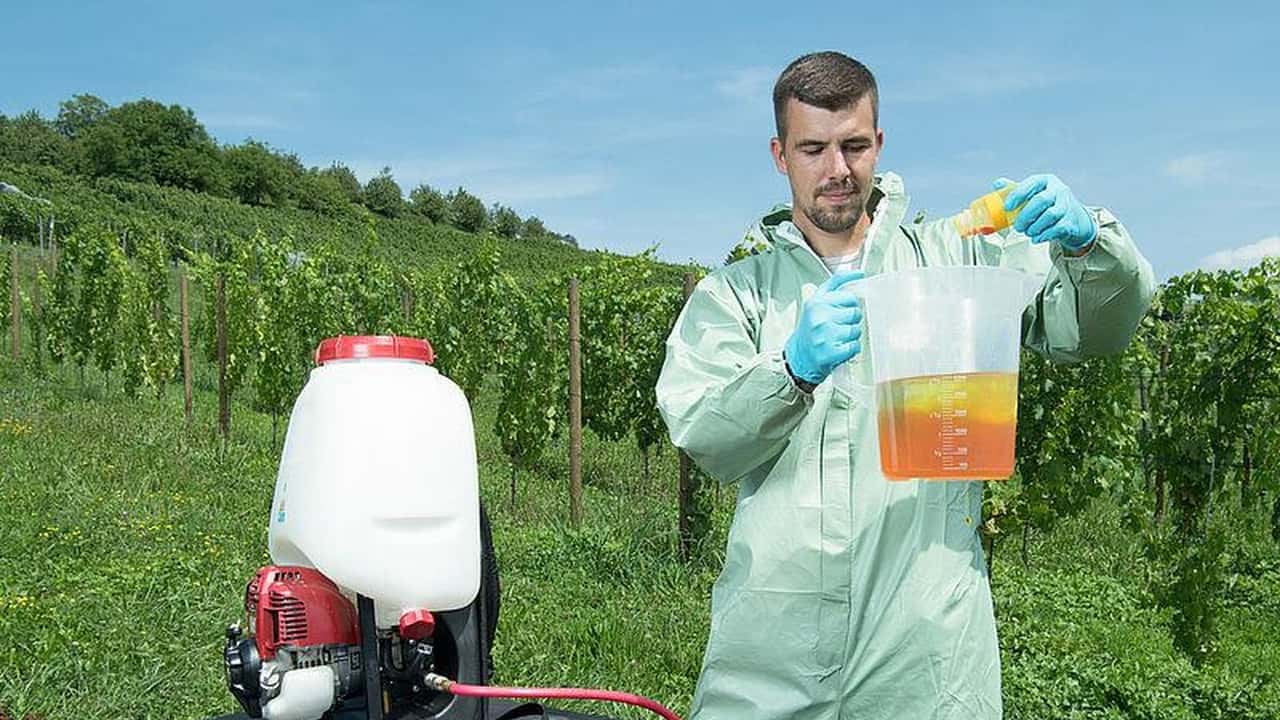 Come calcolare il rame in vigneto con la media 7 anni?