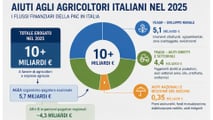 Aiuti agricoltura 2025: 10 miliardi agli agricoltori