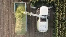 Lunghezza di trinciatura insilati: come tararla sul benessere delle bovine