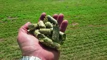 Krone PREMOS 5000