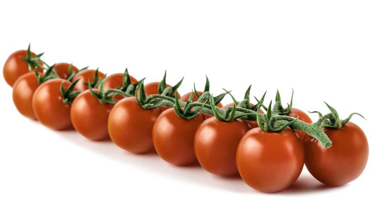 Ciliegino invernale Syngenta Cherye