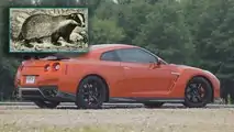 Honey Badger