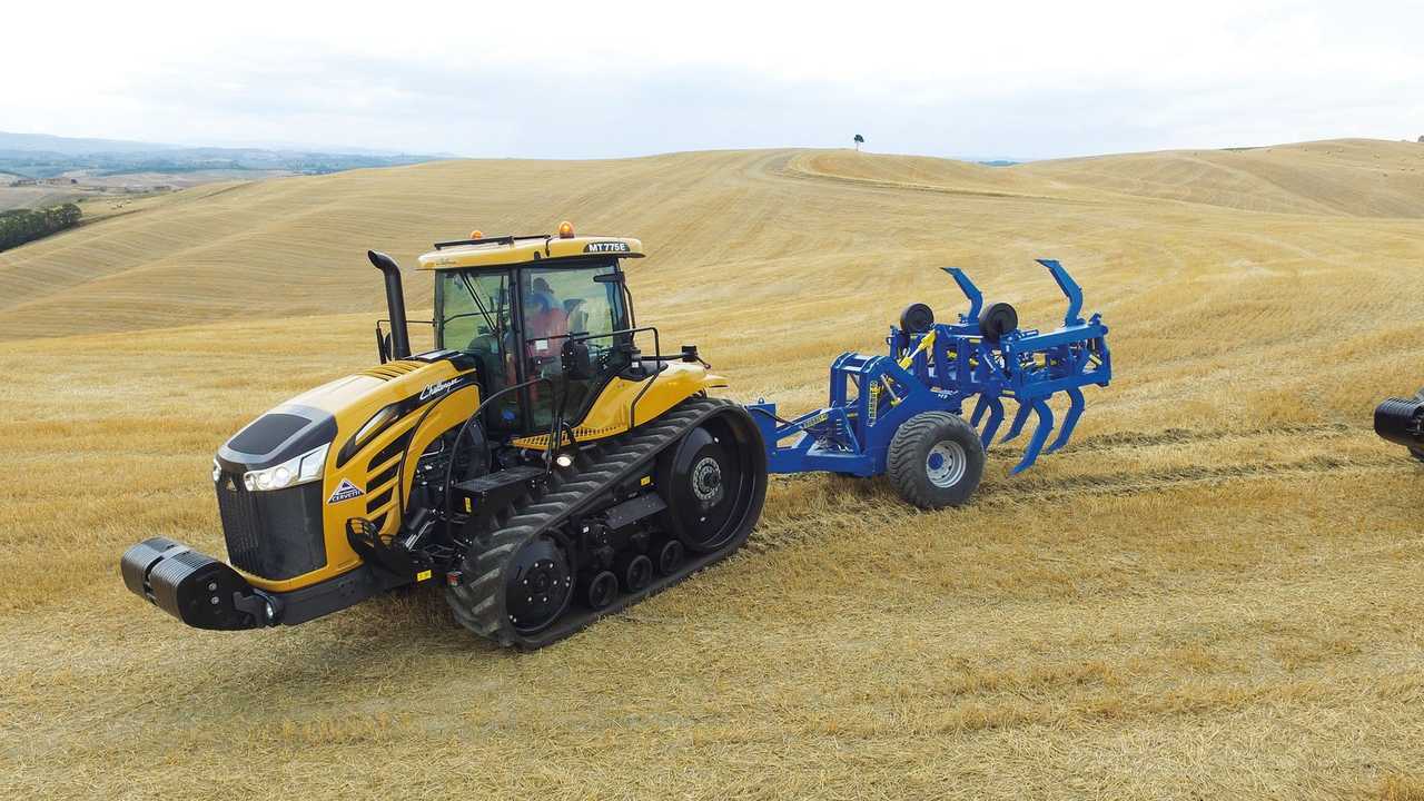 Raptor e Predator Di Raimondo