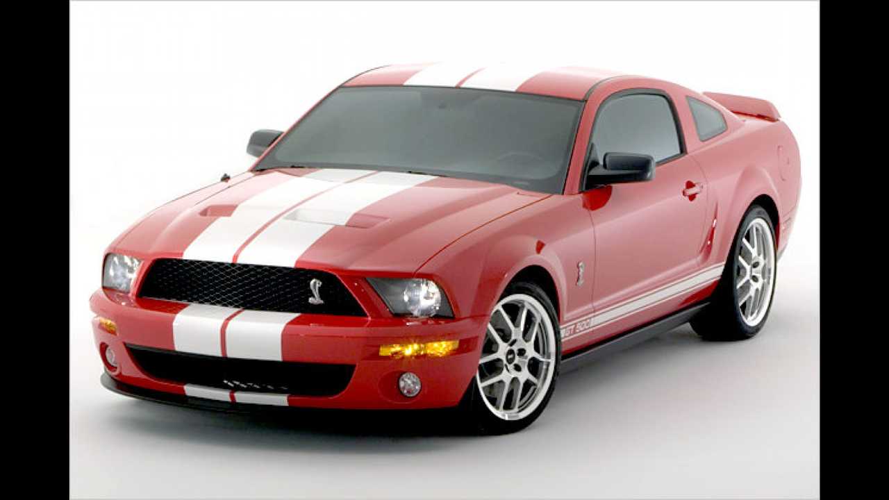 Entfesselter Mustang