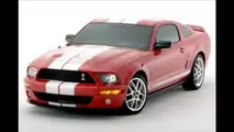 Entfesselter Mustang