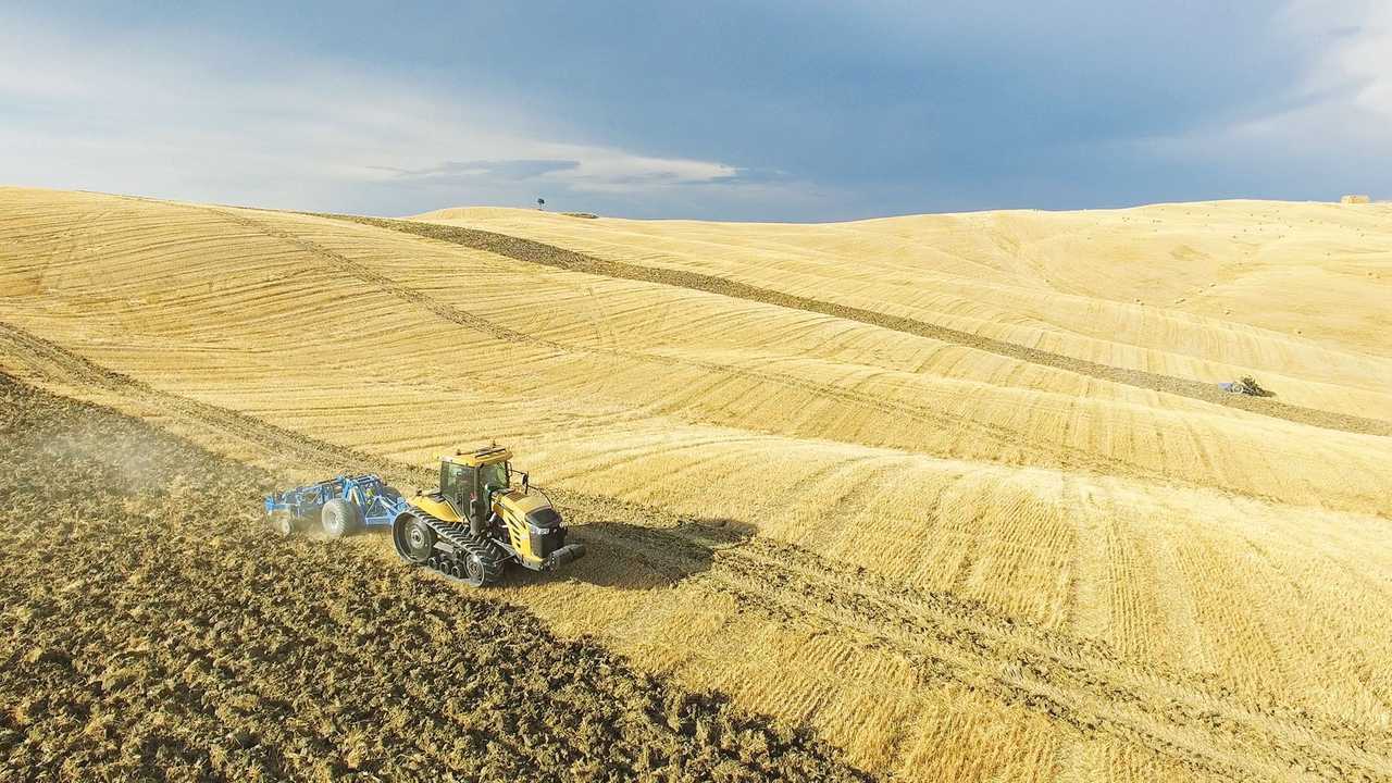 Raptor e Predator Di Raimondo