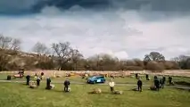 MINI, la Tiny Forest di Swindon