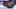 ford ecosport 2018 abre