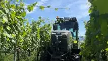 Fendt e100 Vario: Giuli atTonello prova il trattore elettrico da vigneto