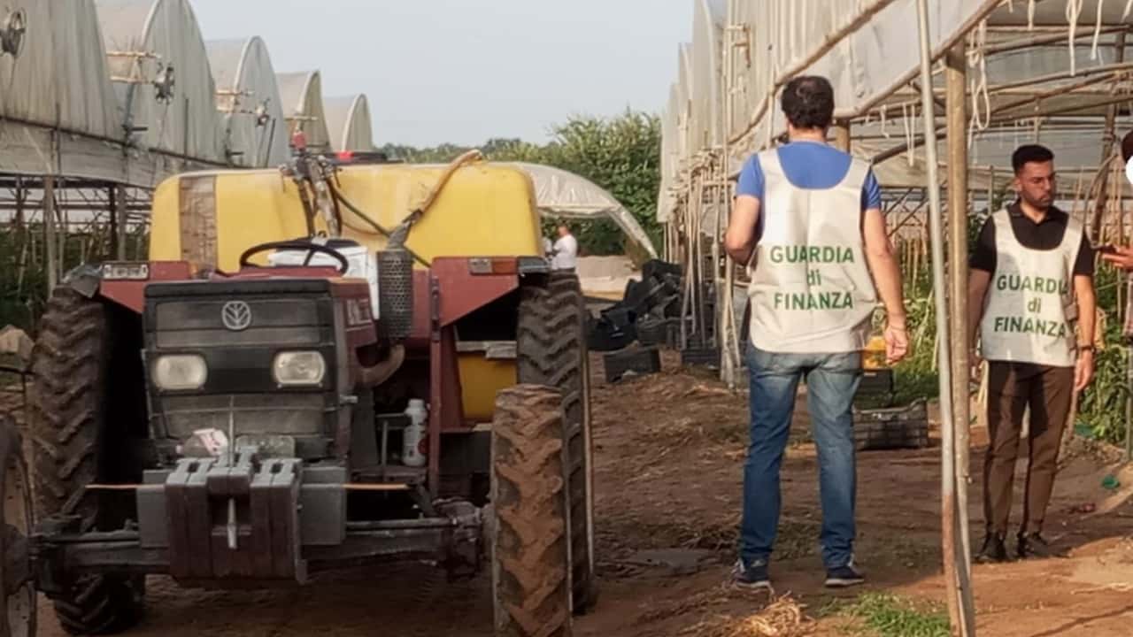 Controlli fiscali in agricoltura: meno dello 0,3% dei contribuenti verificati