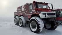 Leopardo da Neve 2