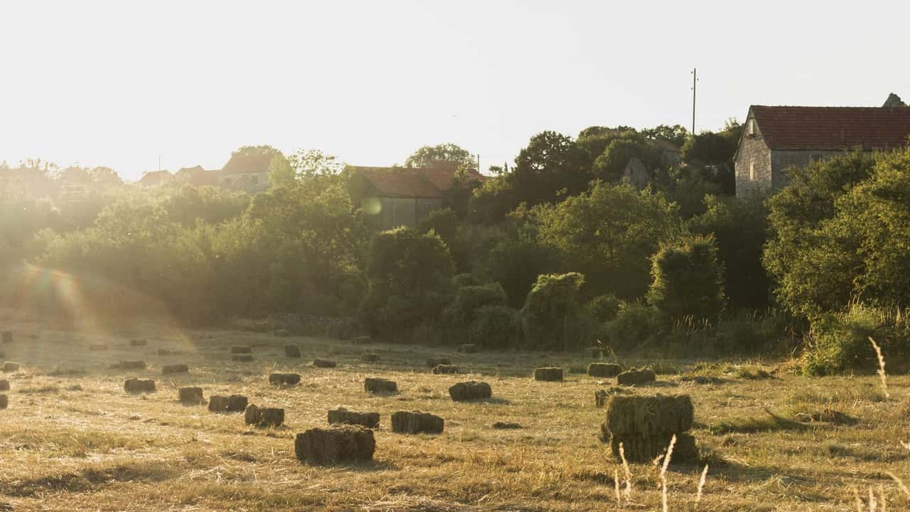 Aiuti de minimis: serve dichiarazione per le aziende agricole