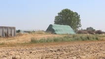 Legge Pmi agricole: staffetta generazionale